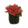 Product Lxv D Fd Ca afbeelding