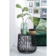 Product c JGZ Hg FQ afbeelding