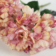 Product PNKA Tr RW afbeelding