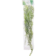 Product j Jz SZX Rd afbeelding
