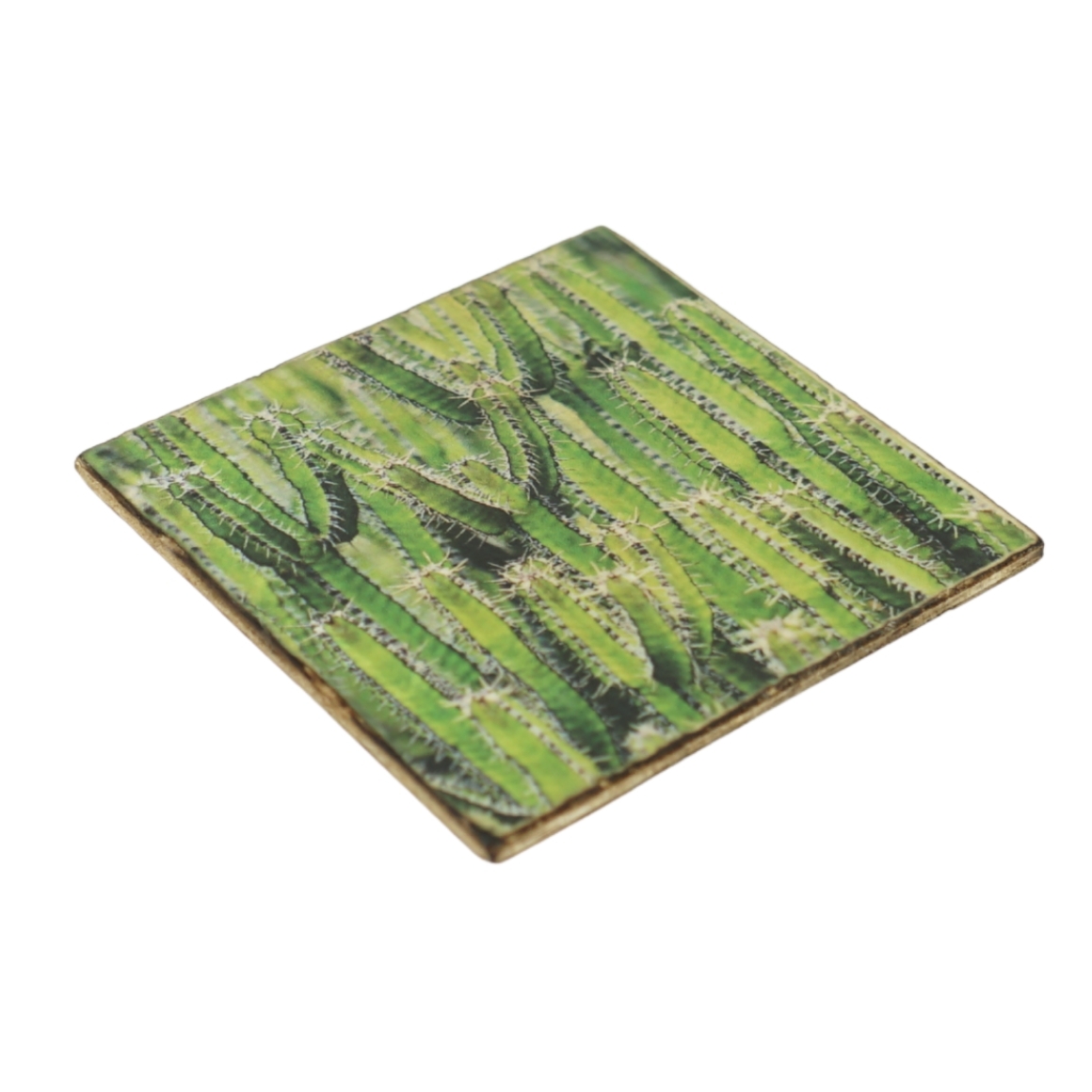 Sottobicchiere in legno a forma di cactus Euphorbi